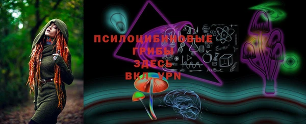 бошки Богородск