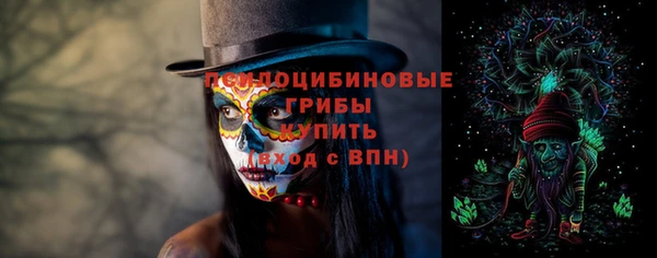 спиды Лагань
