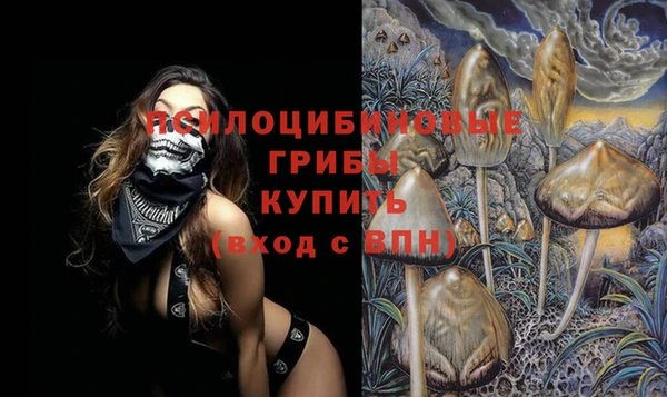 каннабис Богородицк